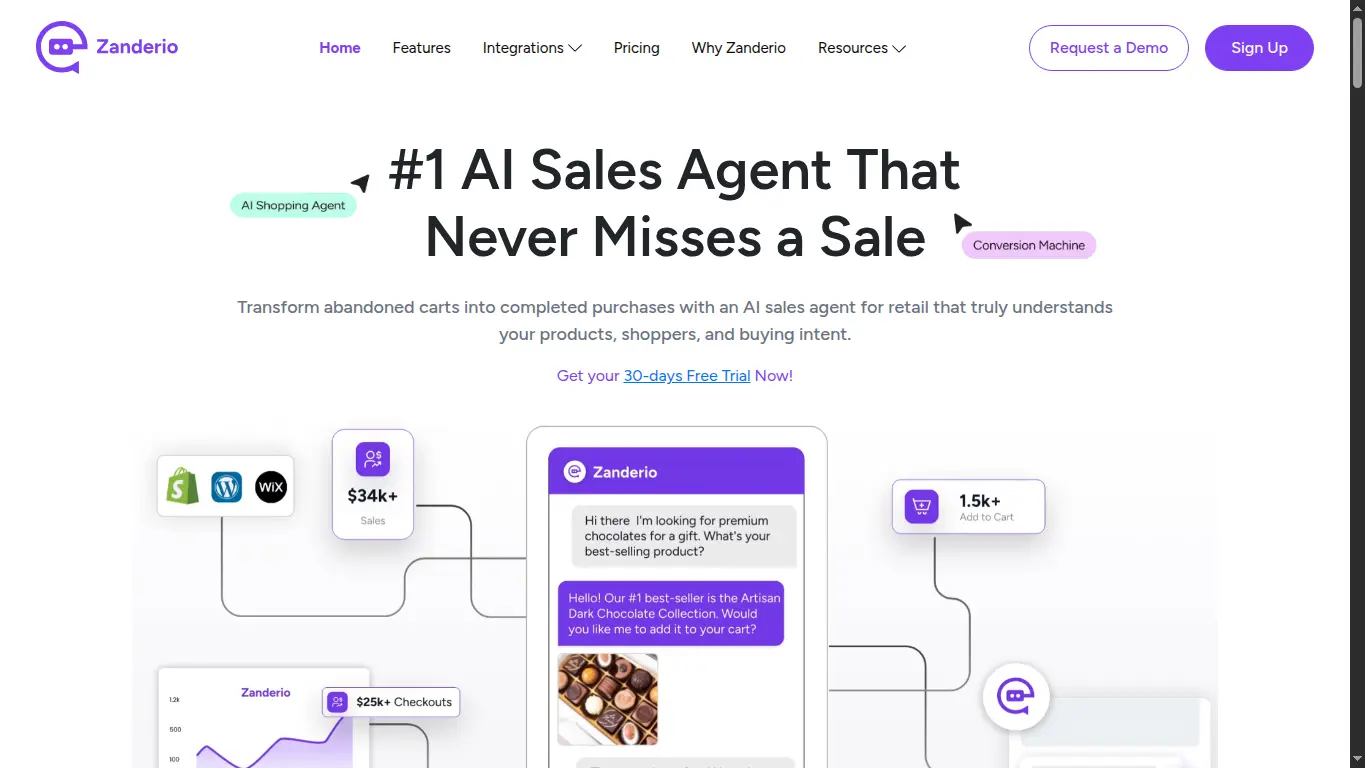 Zanderio AI website preview image